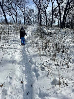 Snowshoeing