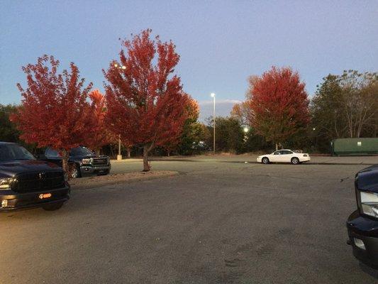 Autumn colors in the AMC Fiesta Square parking lot.