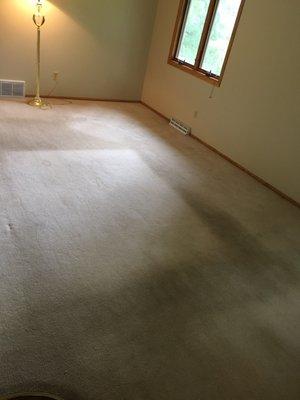 Syl's Carpet & Upholstery Cleaning Inc