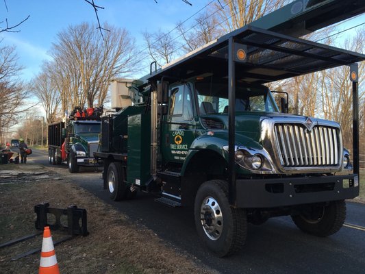 Casadei Tree Service