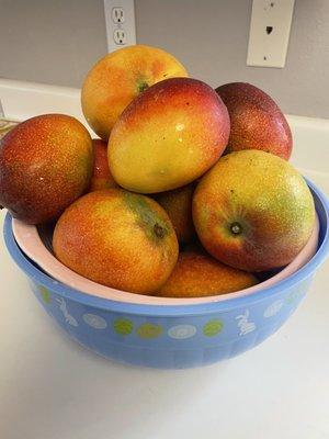 Beautiful Haden mangos