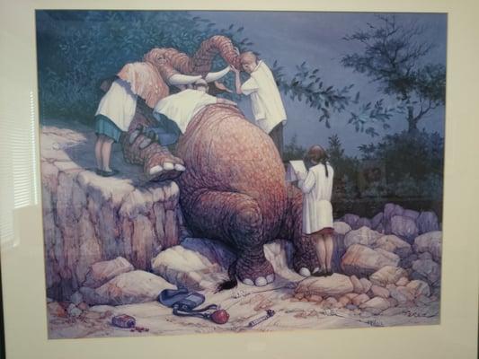 The hilarious depicting of a ear, nose and throat check-up of an elephant by an artist...