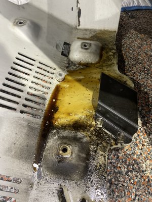 Skid plate full of oil 3 weeks after oil change.