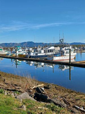 Port of Ilwaca, worth a visit to Skywater Boat Tours and ask for Larry and/or Cindy! Fun times!