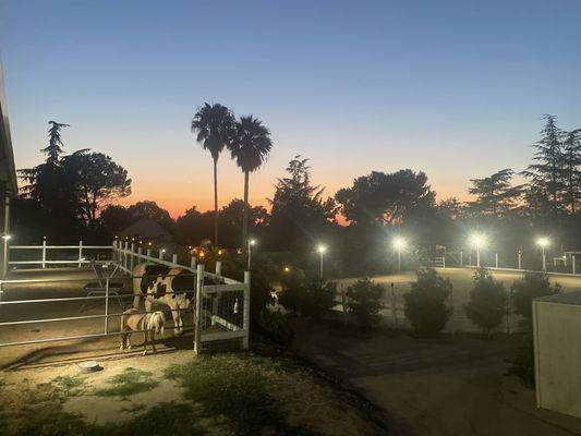 JR Ranch Horse Stables and Arena