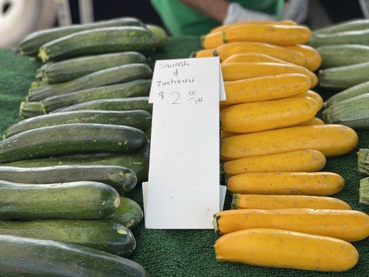 Zucchini & Yellow Squash