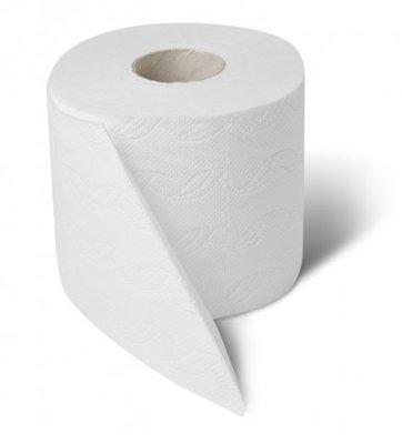 Bathroom Tissue and Toilet Paper