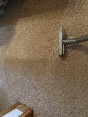 Carpet cleaning before and after