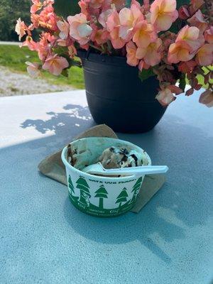 Who says you can't have Ice Cream for lunch?! Espresso Oreo enjoyed at nicely shaded outdoor seating.