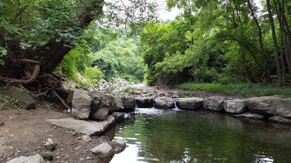 A photo of Nine Mile Run, located in Frick Park on Pittsburgh's East End.