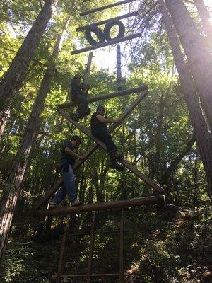 Three colleagues work together to reach the top.