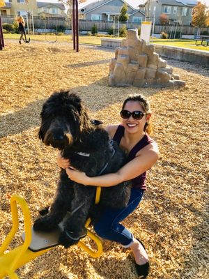 Big kids see saw fits golden doodles too