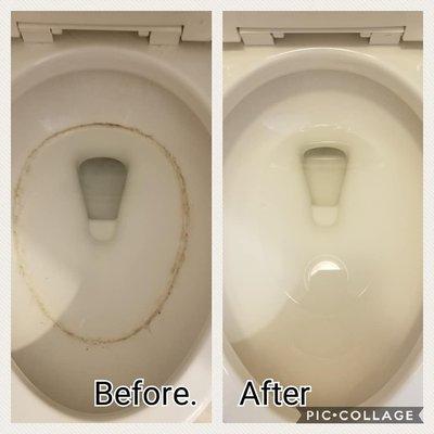 Unused toilets can develop a ring faster than used toilets!