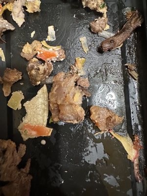 All the collective chunks of fat from my steak tacos