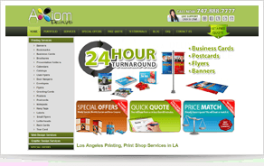 Professional Web Design Services, Content management services, Wordpress web design