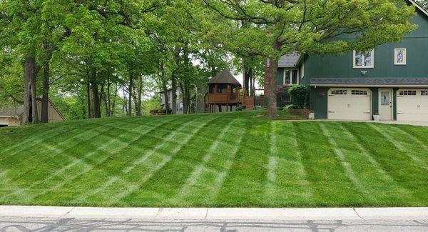 Pristine Cuts Mowing