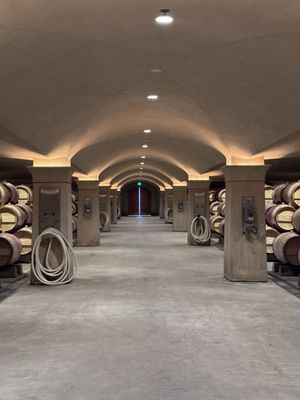 Wine cellar cave