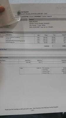 Vet bill from dog #2