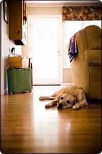 Signature Hardwood Floors