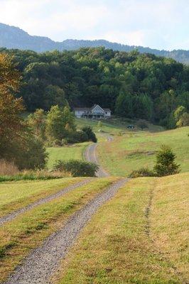 Driveway