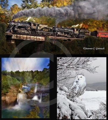 Southern Steam Engine, DeSoto Falls, and Snowy Owl