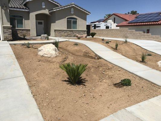 New landscaping progress