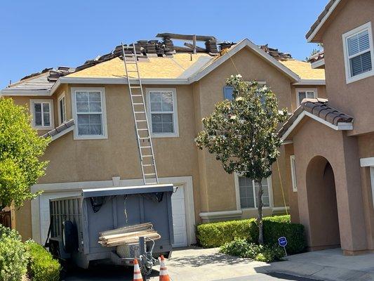 Spider Roofing