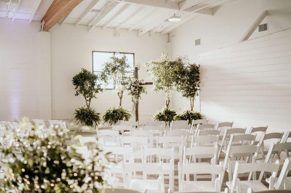 Trees, ferns, and white planters from San Diego Interior Foliage