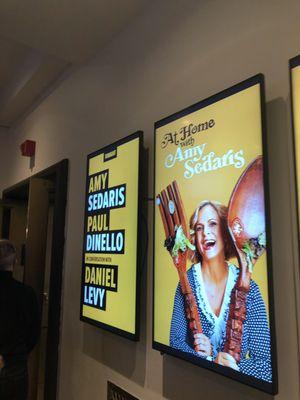 "At Home with Amy Sedaris", Paul Dinello and Daniel Levy