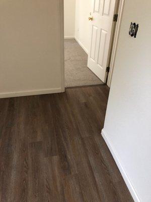 Different views of carpet and LVT