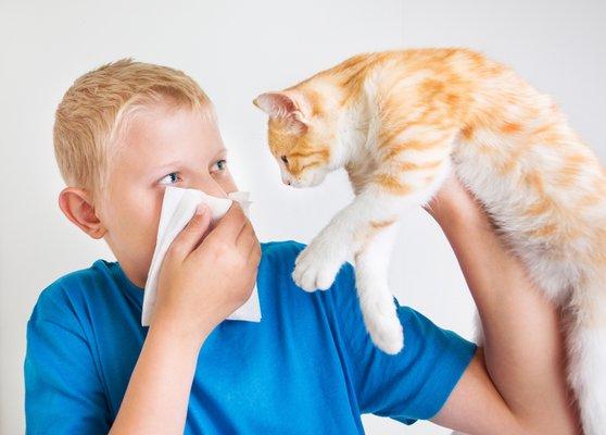 Your pet allergies CAN be treated!