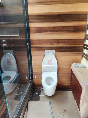 Toilet Installation, Bathroom Remodel