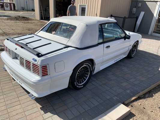 Premium exterior detailing serves made this sweet Mustang shine