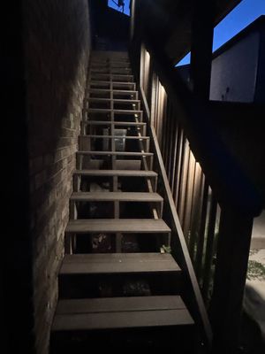 Stairs Well Lights Bentonville Arkansas