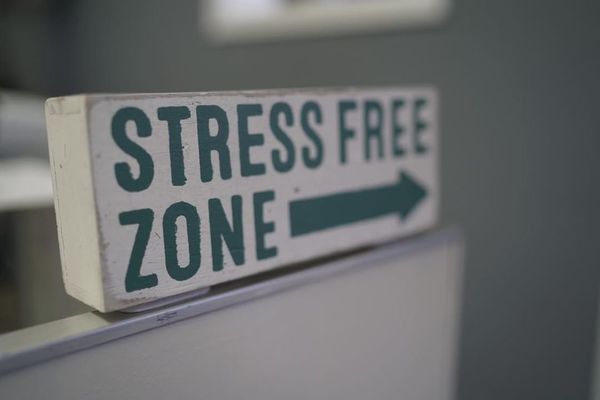 The Hemp Professors lounge is a Stress Free Zone.