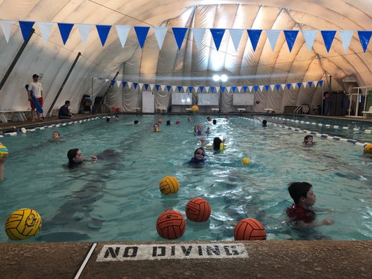 Splashball - Water Polo introduction class