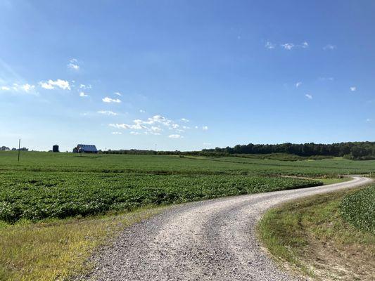 Countryside Orchard located in Northern Vanderburgh County in Southern Indiana.