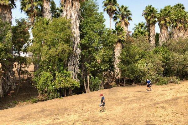 clean creekside OB love on hole 6/15