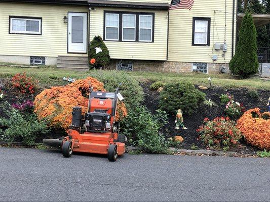 Cancer Fighting Lawn Care