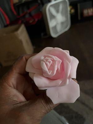 Pink rose