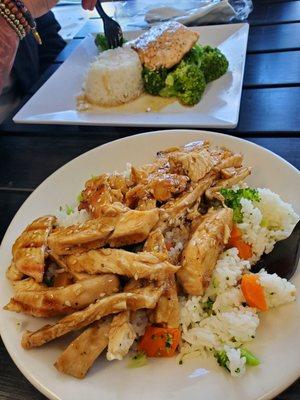 Salmon meal and chicken teriyaki meal