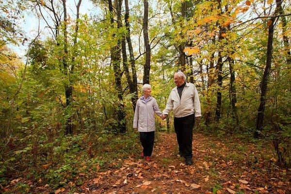 Wooded walking trails