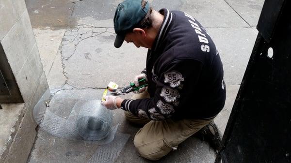 Here, Ted is measuring and cutting hardware cloth for us to install on the base of the door that leads to the street...