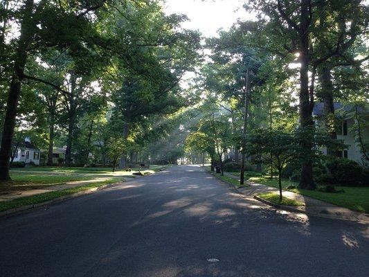 Beautiful Seventeen Acres in Rock Hill,S.C.