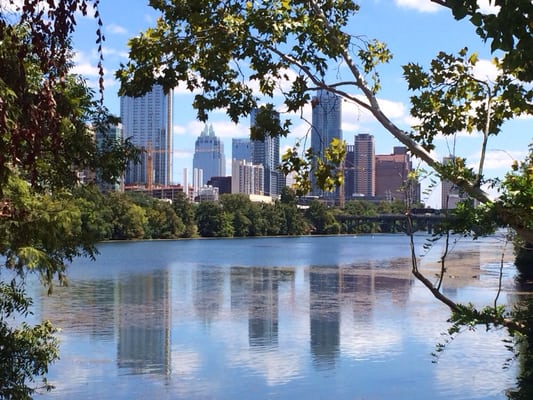 View of downtown from Ladybird Lake