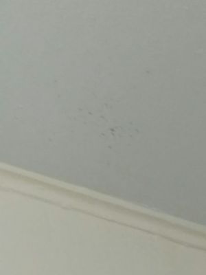 Splattered blood on the ceiling in the bathroom