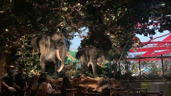 Rain Forest Cafe in Las Vegas