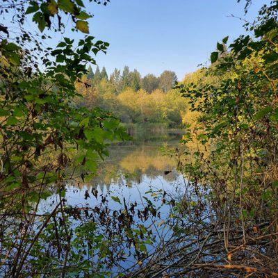 The lake on the west side of the park.