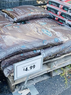 Love the brown mulch here for my gardens.