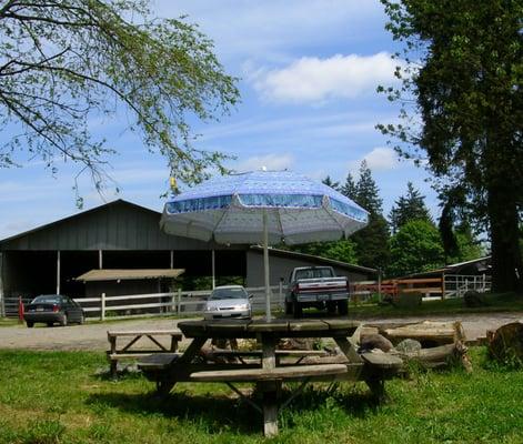 Campfire and picnic area.